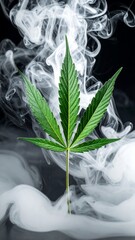 A vibrant green cannabis leaf centered amidst swirling white smoke against a black background