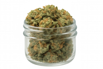 Cannabis buds stored in a clear glass jar. The green and orange marijuana represents legal medicinal and recreational use