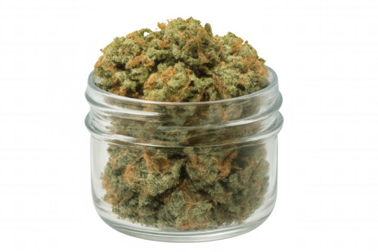 Cannabis buds stored in a clear glass jar. The green and orange marijuana represents legal medicinal and recreational use