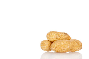 Unshelled peanuts isolated on white background, macro.
