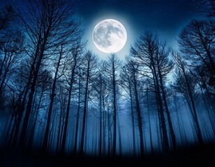 a dark forest with a full moon in the sky