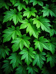 Lush green foliage, vibrant leaves, dense growth, natural texture