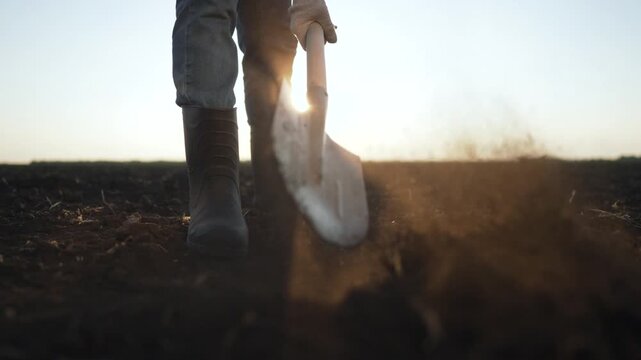 Farmer starts morning work with shovel. Agriculture routine at dawn. Farmer digging soil for planting. Shovel breaking ground on farm. Early morning agriculture work. Farmer prepares field for crops.