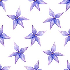 Seamless pattern watercolor purple clematis flowers. Illustration on white background. Hand painted floral summer print. For fabric, wrapping, cards, design, poster, gift decor.
