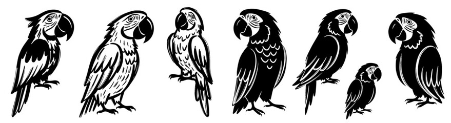 Fototapeta premium Elegant Parrot Silhouettes Illustration Set: Tropical Macaw Birds in Varied Poses, Exotic Wildlife Design Elements for Branding, Nature Conservation, Pet Industry Graphics, Ornithology Studies, Bold B