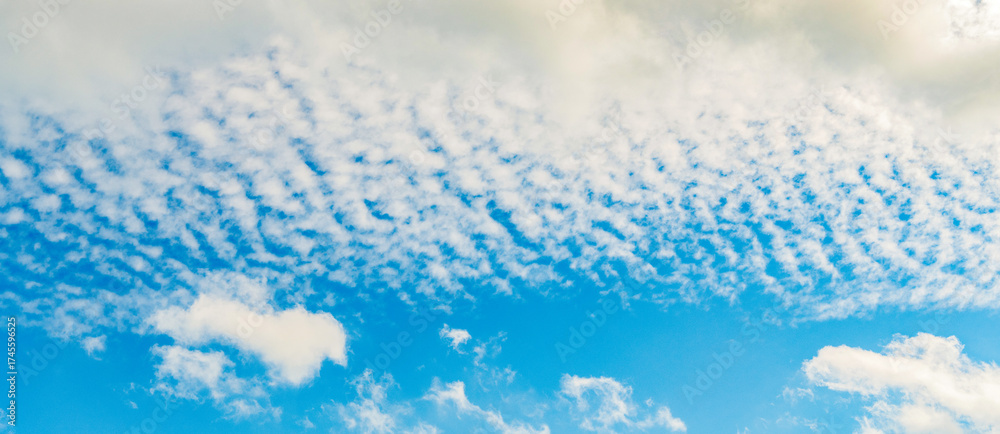 Wall mural cloudy atmospheric backdrop. morning sky with cloud. sky and cloud formation. weather cloudscape. sk