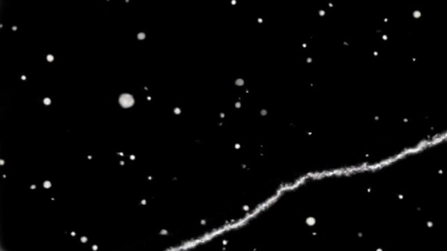 Extreme close-up of luminous white dust motes, circular specks, and razor-thin scratches flickering on a deep black background, simulating authentic 16mm celluloid grain and optical film damage.