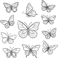 A collection of twelve black-line butterfly silhouettes, various wing patterns, against a white background