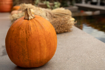 Fresh orange pumpkin with natural stem on table autumn harvest closeup view