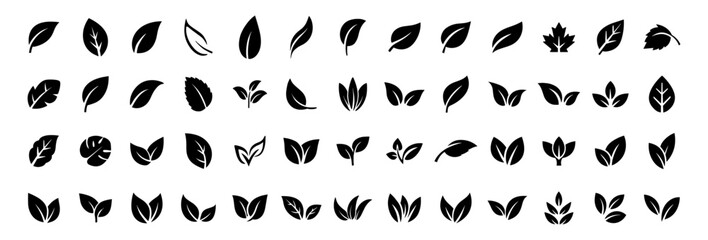 Green leaf icons set, ecology and nature elements, eco signs and organic symbols, leaves vector collection, green leafs illustration, botanical outline design on transparent background.