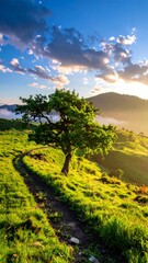 Naklejka premium Scenic mountain landscape with a tree and winding road
