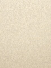 Obraz premium Close-up of textured off-white surface, with subtle grain details