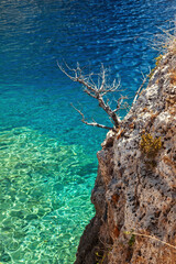 Rocky coastal cliff with turquoise crystal water and a dry branch under the bright Mediterranean sun in Loutraki, Greece, showcasing natural summer beauty and serenity.