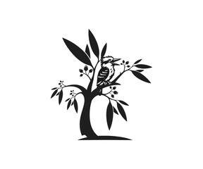 Silhouette of kookaburra bird on a leafy tree branch