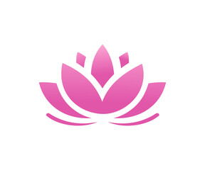Illustration of a pink lotus flower on white background