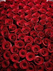 Dense, vibrant bunch of red roses, a symbol of love and passion, close-up view