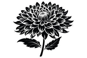 Detailed Black and White Dahlia Flower Illustration with Stem and Leaves Depicted Gracefully