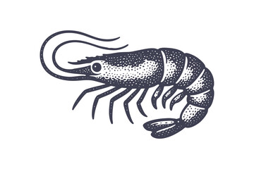 Minimalist vintage shrimp or prawn illustration with dotted texture, vector design perfect for seafood logos and packaging.