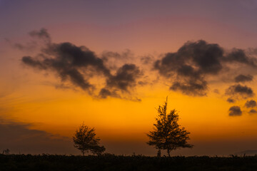 Fototapeta premium panorama of a Twilight sky with tree silhouette before sunrise, Majestic Sunlight Cloud fluffy,Beauty Dark Blue Hour on Dusk,Purple Nightfall Silhouette on twilight.