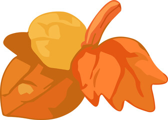 A cozy flat-style illustration of two autumn leaves and an acorn in warm orange and yellow tones, symbolizing the harvest season and fall nature.