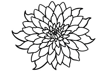 Fototapeta premium Detailed Black Outline Drawing of a Dahlia Flower with Intricate Petal Layers