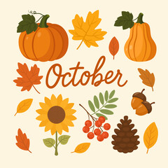 October Autumn Illustration with Pumpkin, Rowan, Acorns, Pine Cone, Leaves and Sunflower