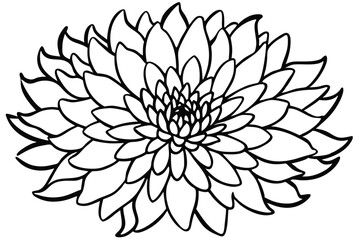 Beautiful Dahlia Flower with Many Layered Petals, Black and White Line Art Illustration