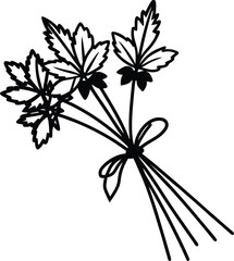 a bunch of fresh herbs   mint  basil  and coriande