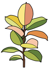 An illustrated Ficus elastica houseplant with colorful leaves. Botanical drawing for nature and interior design concept.