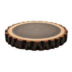 Cross section of a tree trunk with bark and growth rings isolated on transparent background