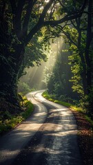 Fototapeta premium Winding asphalt road through lush, sunlit forest with dappled light