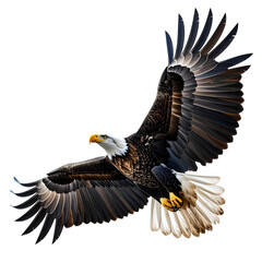Naklejka premium A majestic eagle in flight, wings fully extended, isolated on a black background