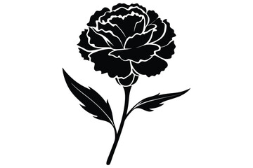 Silhouette of Carnation Flower with Detailed Petals, Stem, and Two Leaves Illustration
