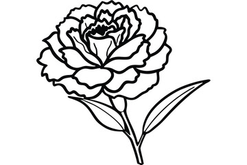 Black and White Line Art Illustration of a Carnation Flower with Two Leaves
