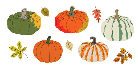 Fall pumpkin and autumn leaves set. Collection of seasonal vegetables and foliage in flat modern style. Best for Thanksgiving and harvest design. Vector illustration isolated on white background.