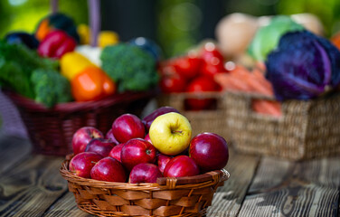 Rural farm scene with seasonal fruits and vegetables. Healthy vegetables growing naturally in a vibrant garden. Autumn harvest of fresh fruits and vegetables in wooden basket. Fresh seasonal harvest.