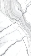 White marble slab with intricate grey veining and natural patterns