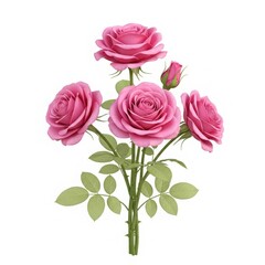 Fototapeta premium A beautiful bouquet of vibrant pink roses with green leaves and buds on a white background