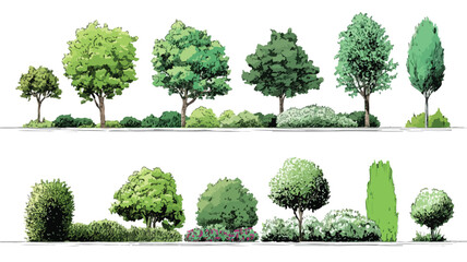 Professional Landscape Design Trees, Shrubs, and Hedge Vector Illustrations