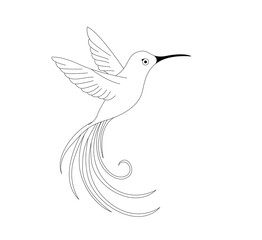 vector illustration of a bird