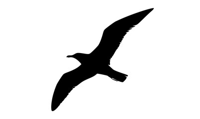 a black silhouette of a seagull flying against a transparent backgroundbird, black, fly, gull, profile, sky 