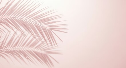 Obraz premium Soft pink palm fronds cast delicate shadows on a pale pink, minimalist background, creating a serene and tropical aesthetic