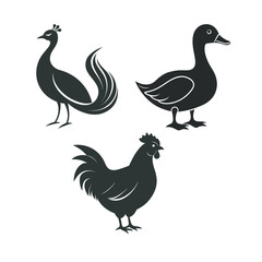 Set of vector birds illustration including chicken rooster hen and duck