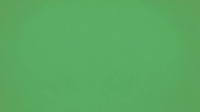 Green Textured Background: The image features a serene, textured backdrop, showcasing a solid tone with gentle surface imperfections, offering a canvas of simplicity.