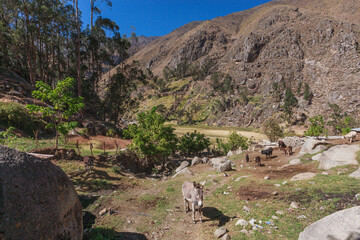 Countryside landscape of the village of Tupe, Peru