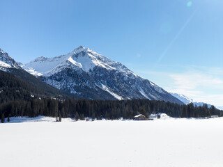 Lenzerheide, winter Landscape Images