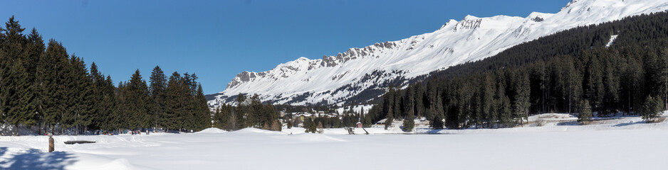 Lenzerheide, winter Landscape Images