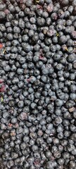 Fresh Grape Berries Piled Together in a Vibrant Display at a Local Market During Harvest Season