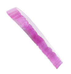 Ring of fresh onion isolated on white