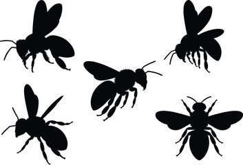 Bee silhouette, insect icon, flying bee, black vector bee, entomology graphic, nature symbol, isolated bee, flat vector illustration